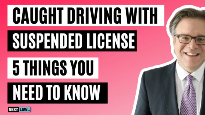 Ilcs driving while license suspended