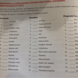 Matching 6-2 circulatory system structures