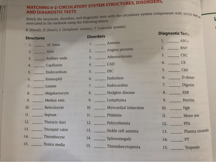 Matching 6-2 circulatory system structures