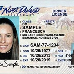 Motorcycle license sd licensing driver dps