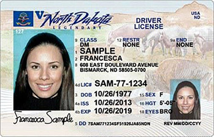 Motorcycle license sd licensing driver dps