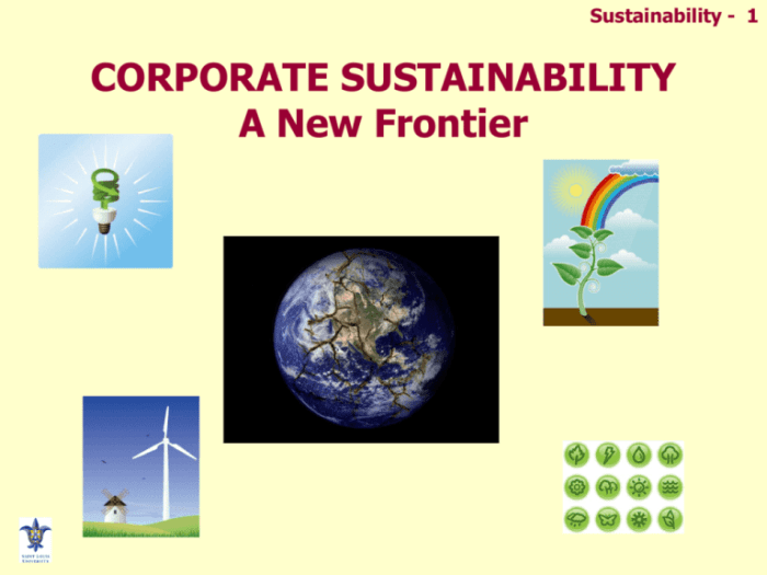 Sustainability definition