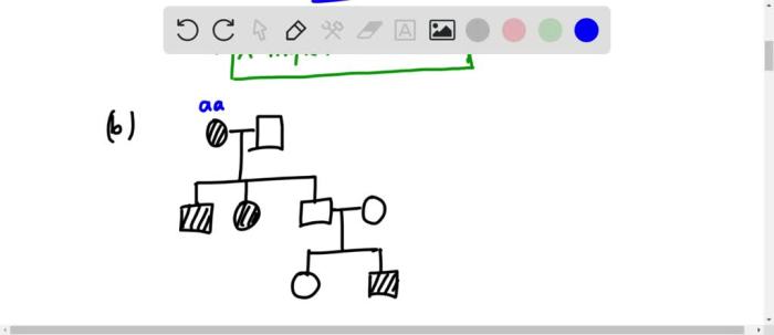 Pedigree inheritance examples modes