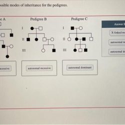 Determine all the possible modes of inheritance for the pedigrees