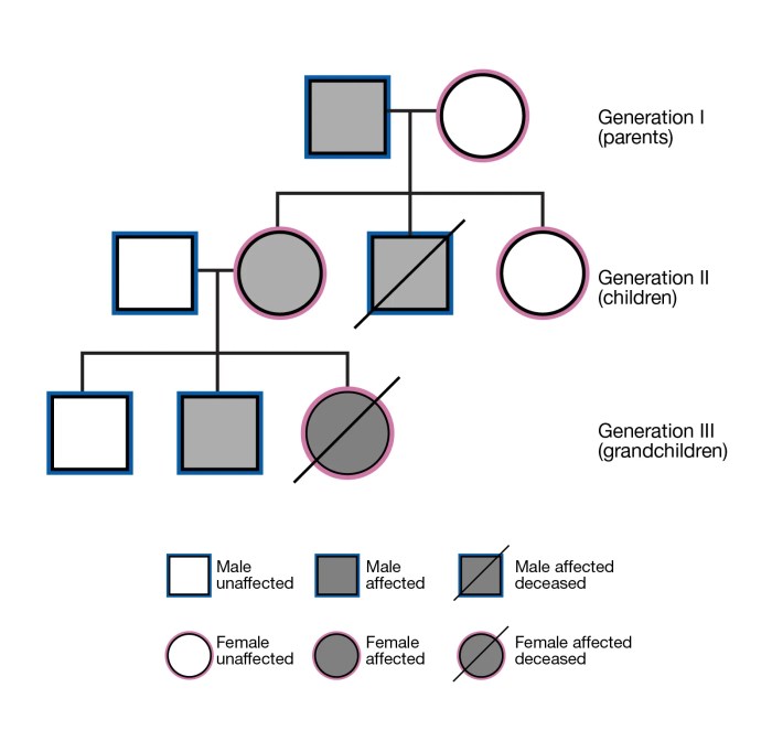 Solved inheritance pedigrees three following questions mode answer problem been has determine likely